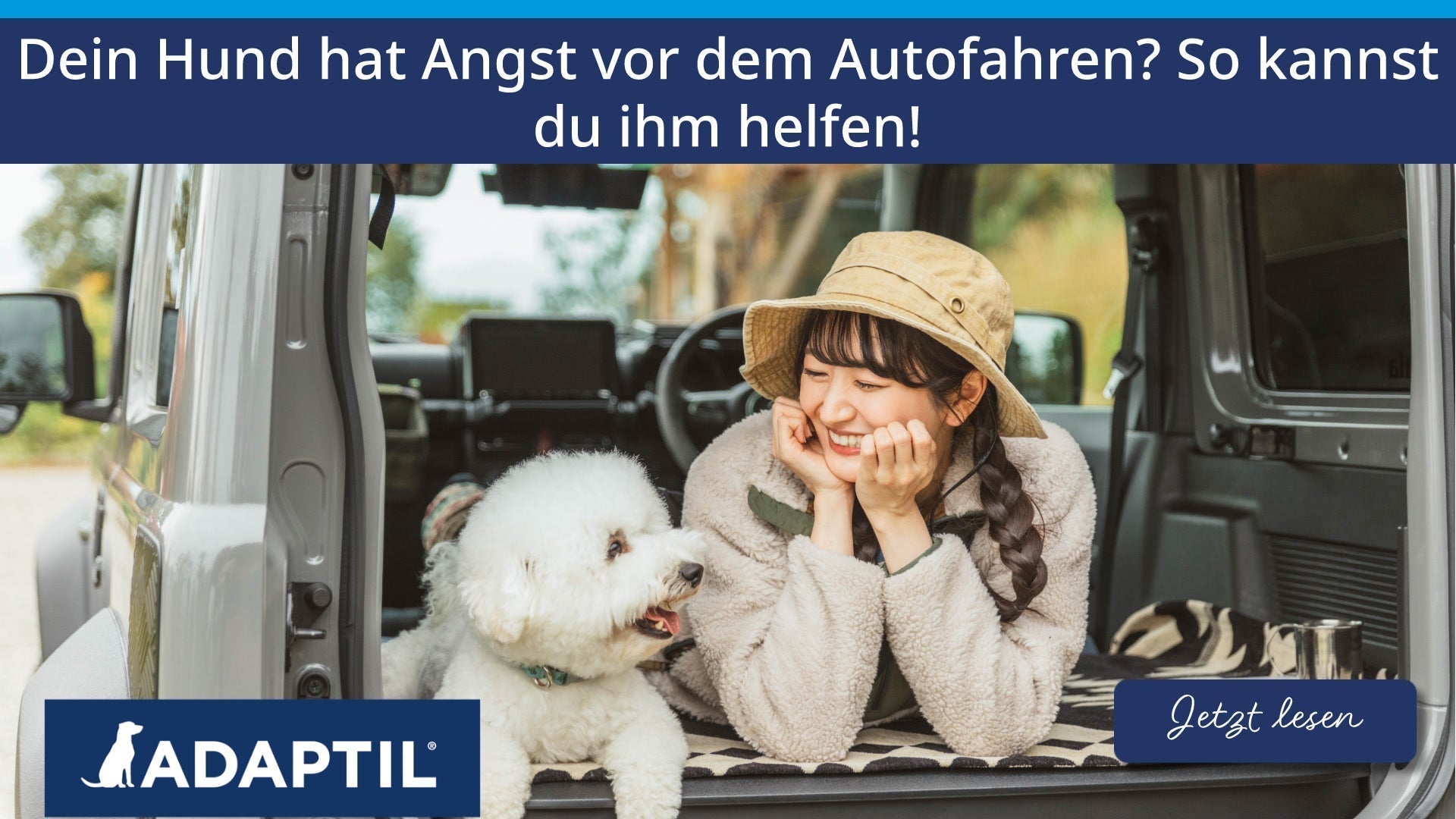 Dein Hund hat Angst vor dem Autofahren? So kannst du ihm helfen!