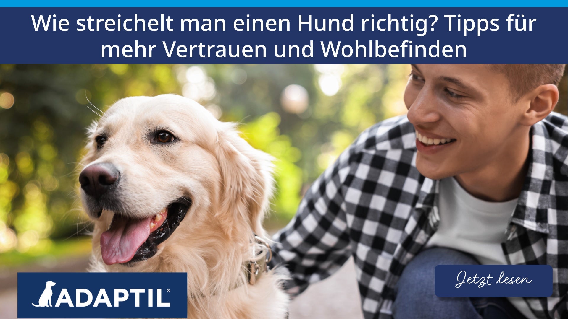 Wie streichelt man einen Hund richtig? Tipps für mehr Vertrauen und Wohlbefinden