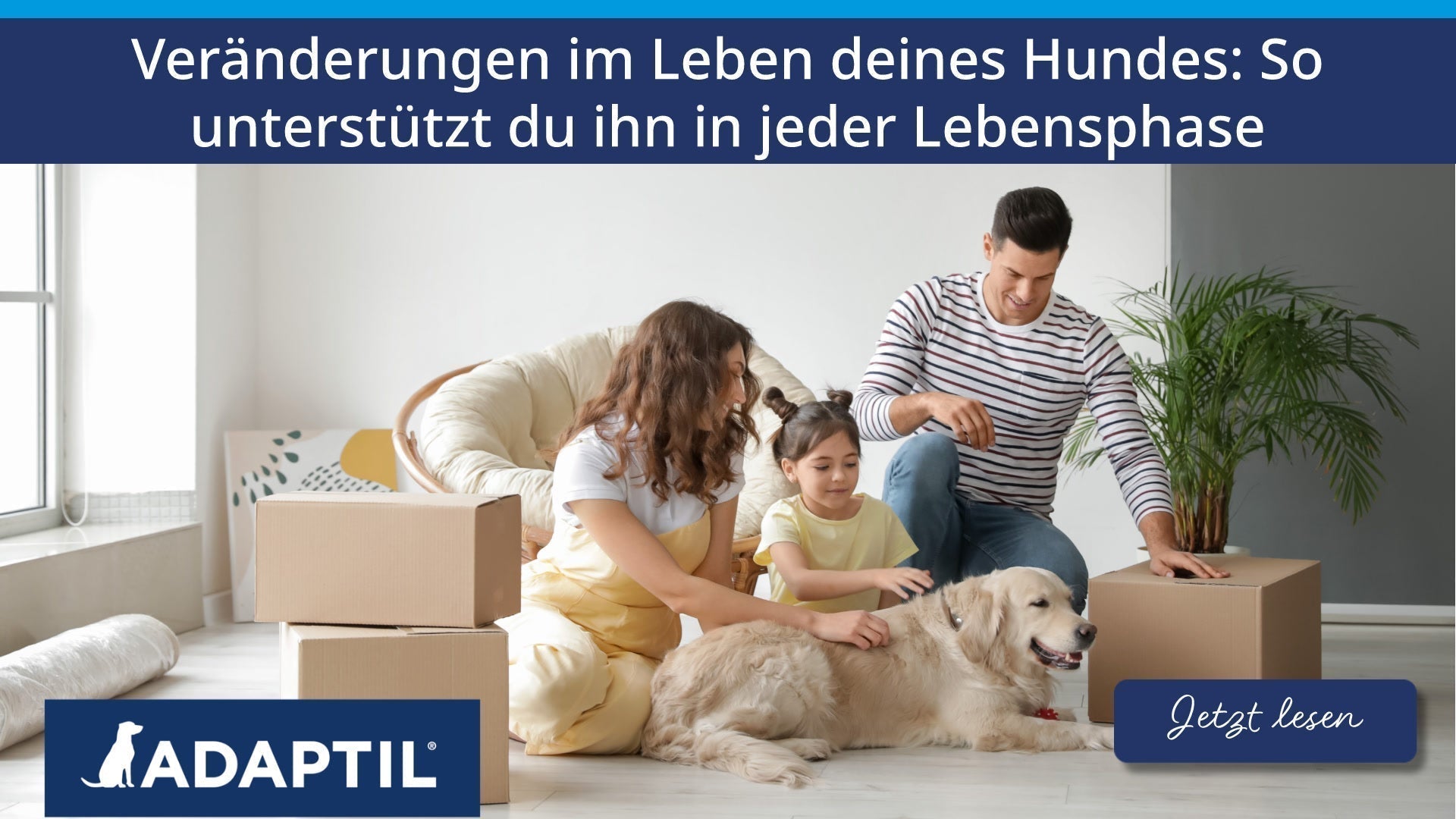 Veränderungen im Leben deines Hundes: So unterstützt du ihn in jeder Lebensphase