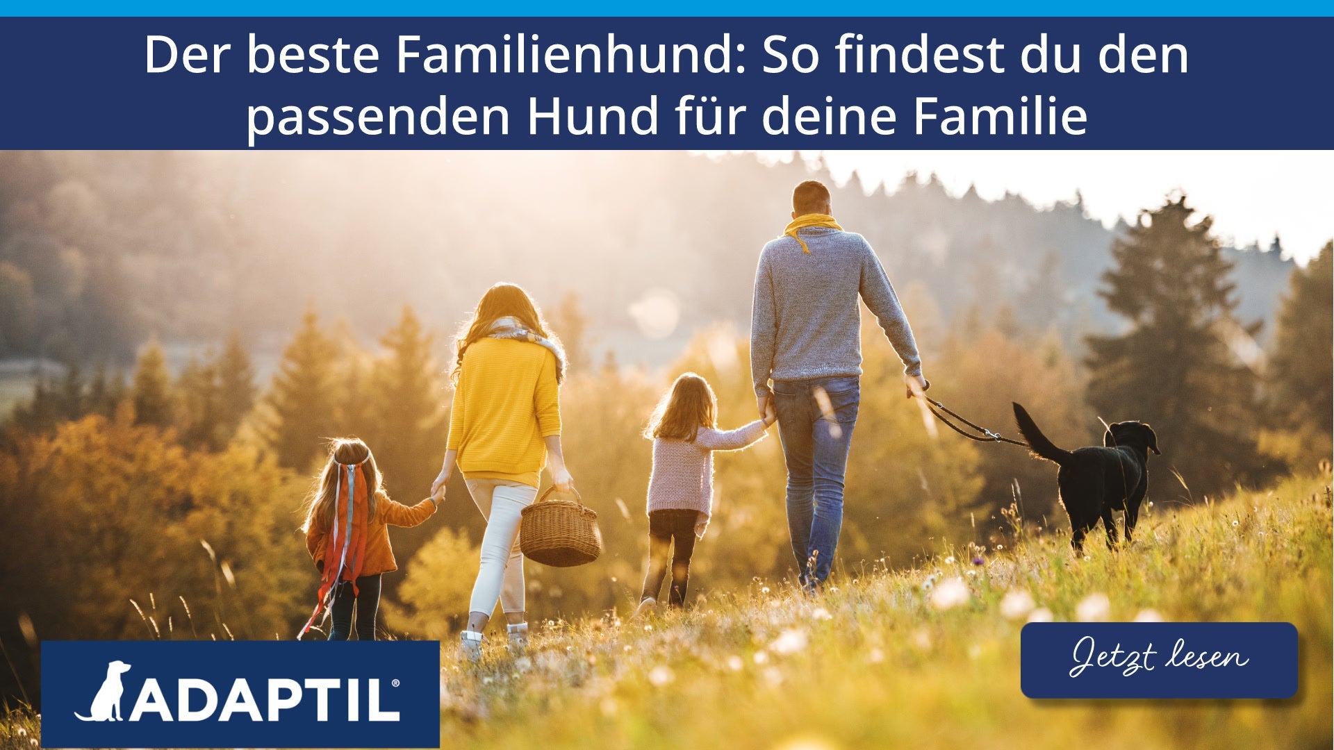 Der beste Familienhund: So findest du den passenden Hund für deine Familie