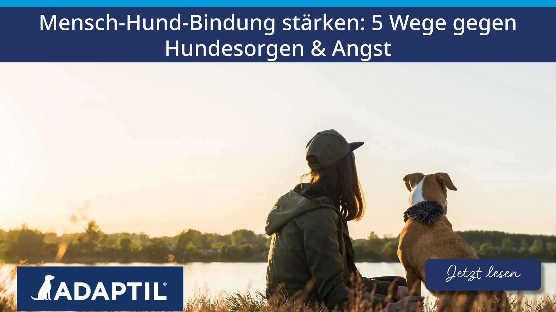 Mensch‑Hund‑Bindung stärken: 5 Wege gegen Hundesorgen und Angst