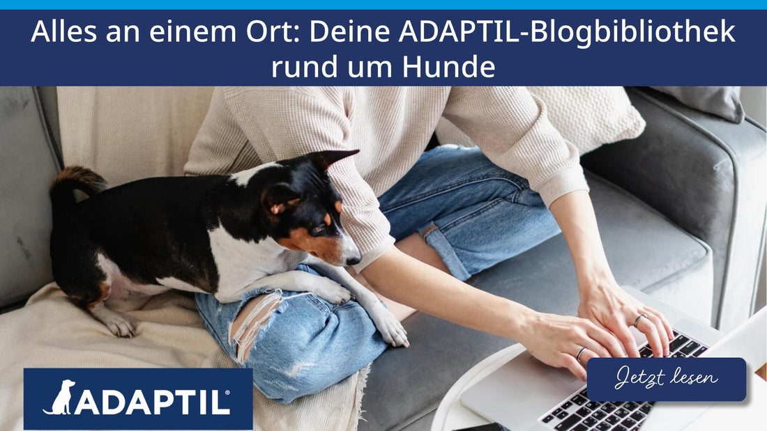 Alles an einem Ort: Deine ADAPTIL-Blogbibliothek rund um Hunde