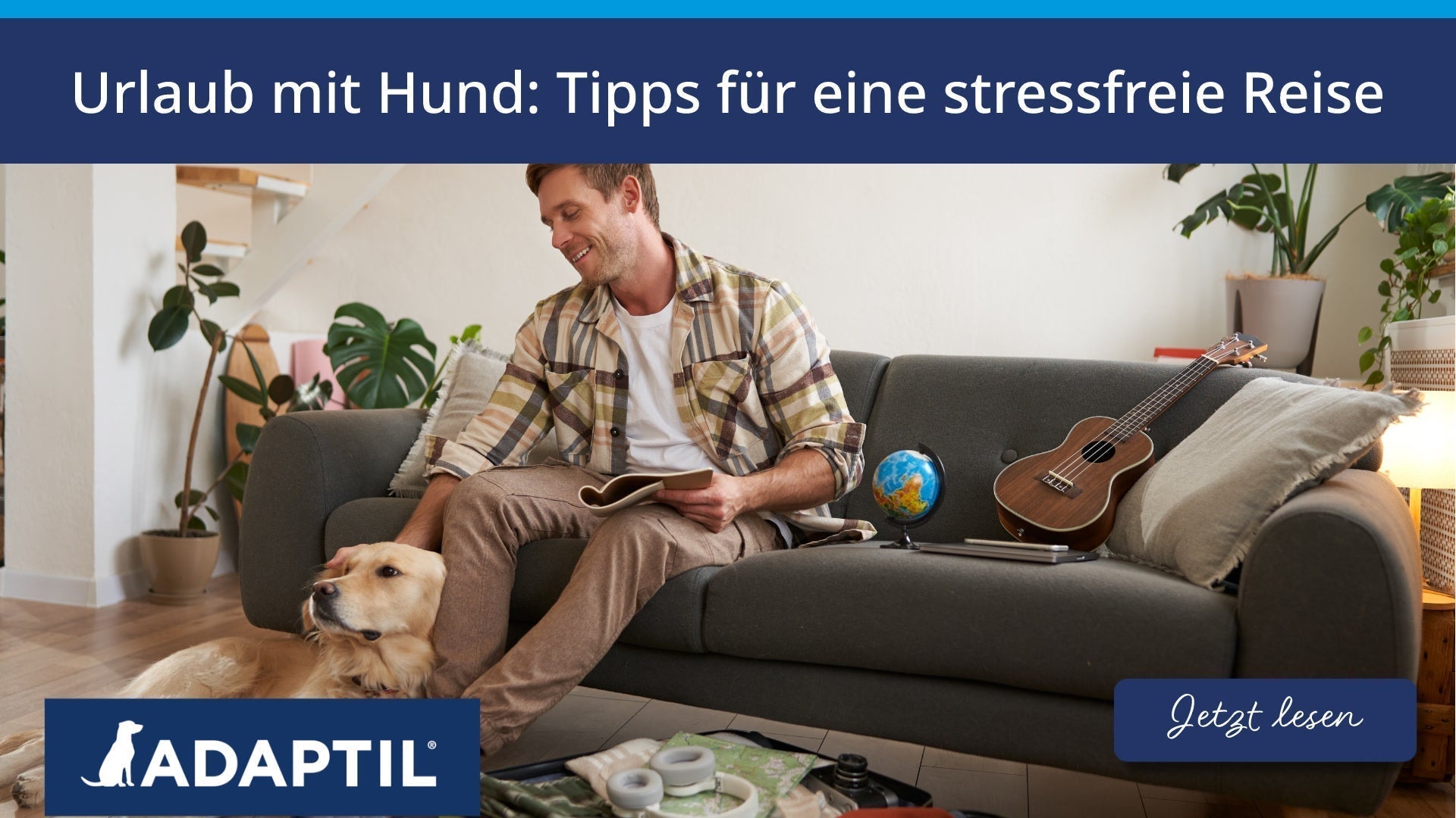 Urlaub mit Hund: Tipps für eine stressfreie Reise