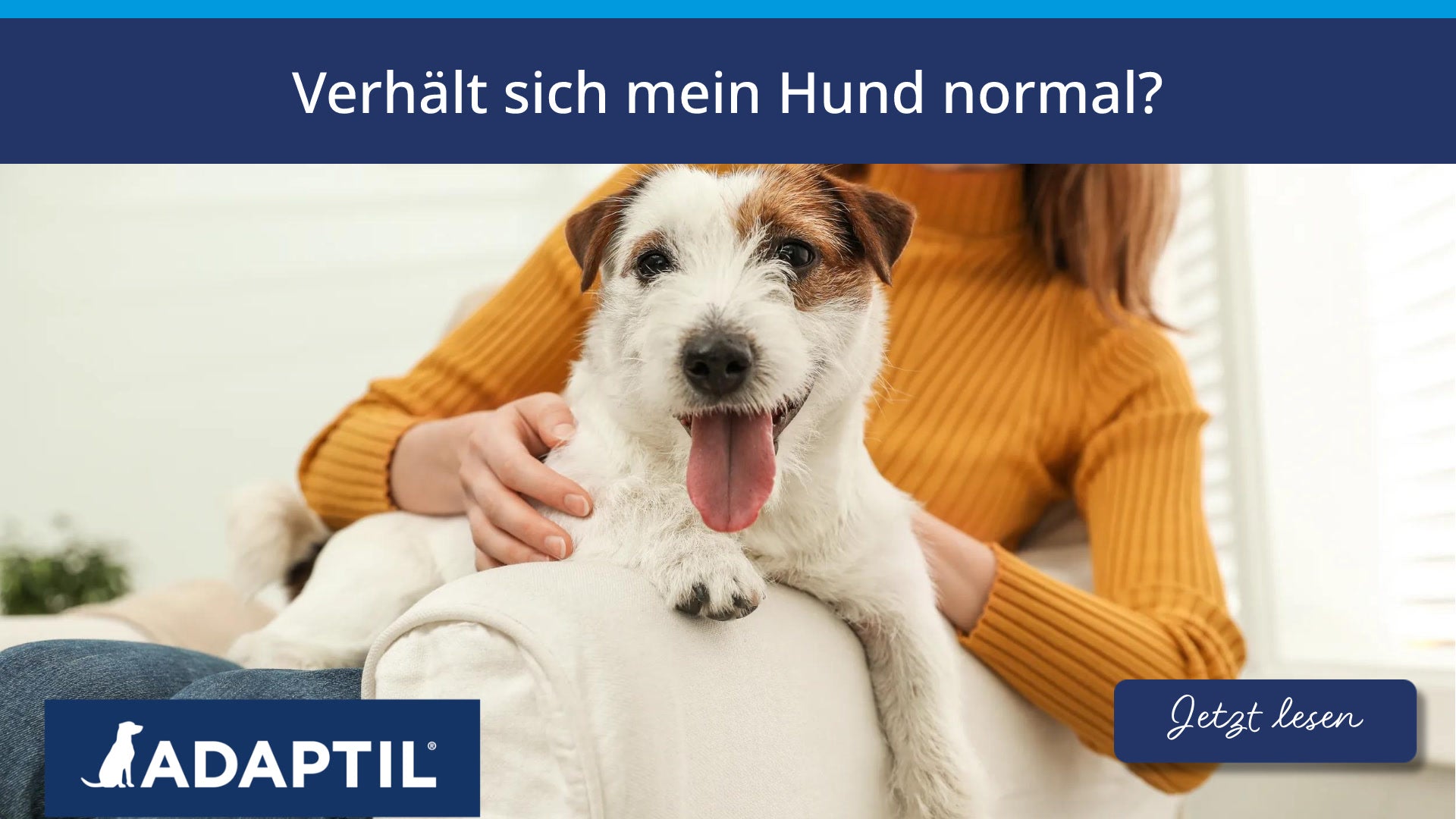 Verhält sich mein Hund normal?