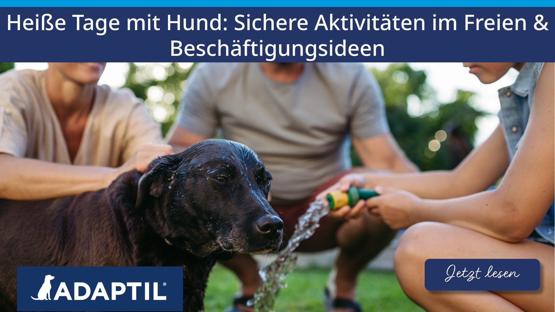 Heiße Tage mit Hund: Sichere Aktivitäten im Freien und Beschäftigungsideen