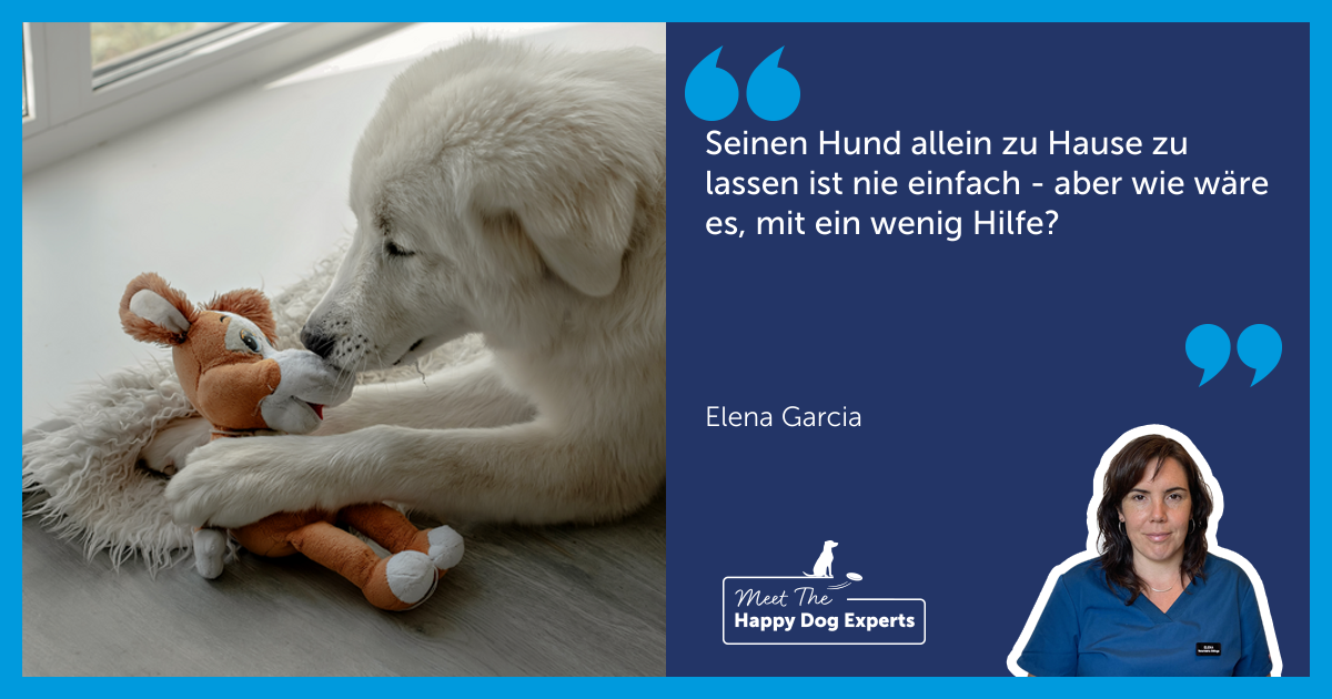 Wie du deinem Hund beibringst, allein zu Hause zu bleiben