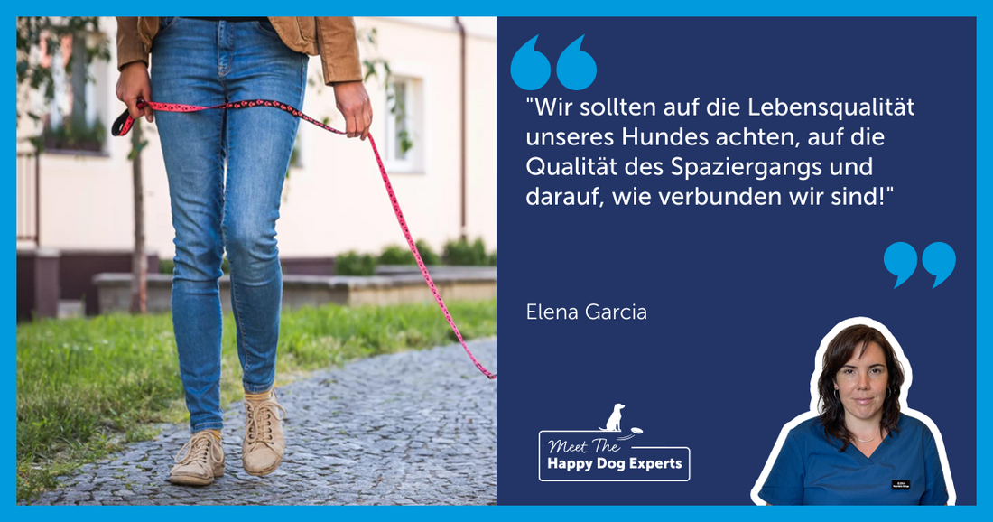 4 Tipps für einen effektiver Spaziergang mit deinem Hund!
