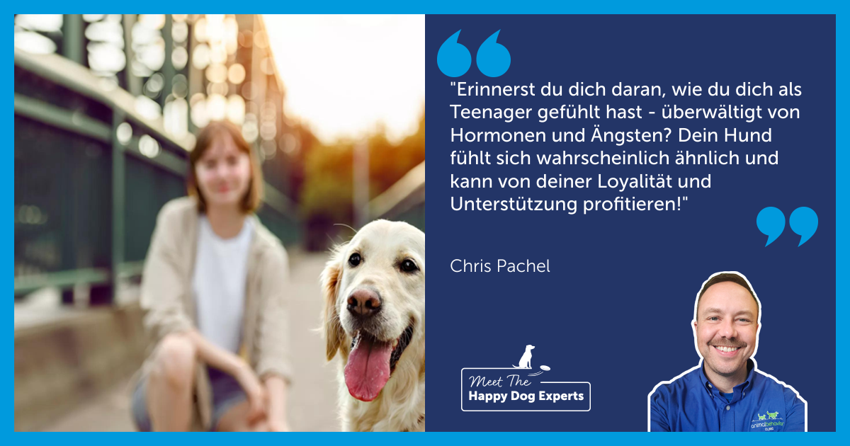 Wie bewältigt man die schwierige Teenagerzeit eines Hundes?