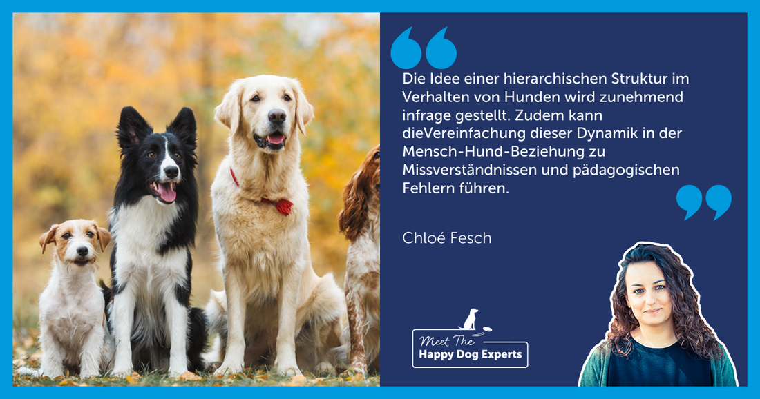 Hierarchie bei Hunden: Mythos oder Realität?