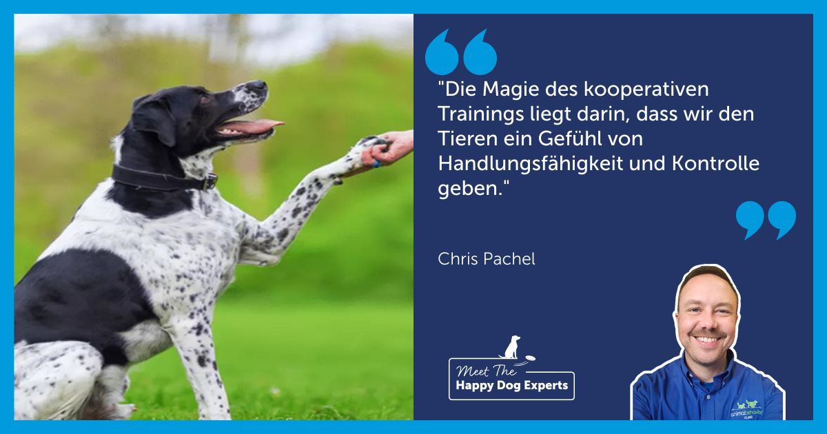 Kooperatives Training für Hunde: Ein Happy Dog Experte erklärt