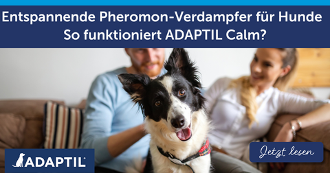 Entspannende Pheromon-Verdampfer für Hunde - So funktioniert ADAPTIL Calm