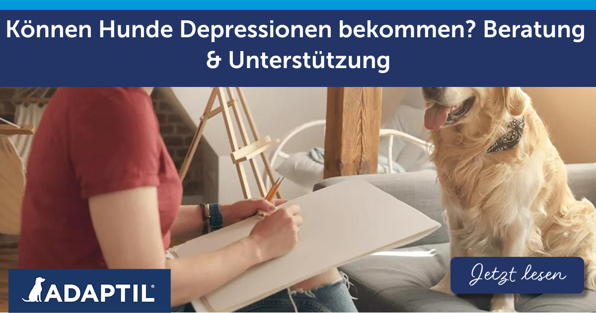 6 Berühmte Hunde in Kunst und Literatur