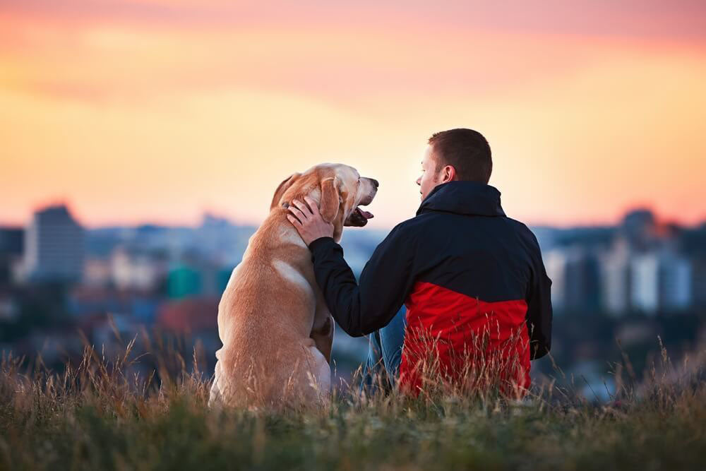 10 Neujahrsvorsätze für dich und deinen Hund