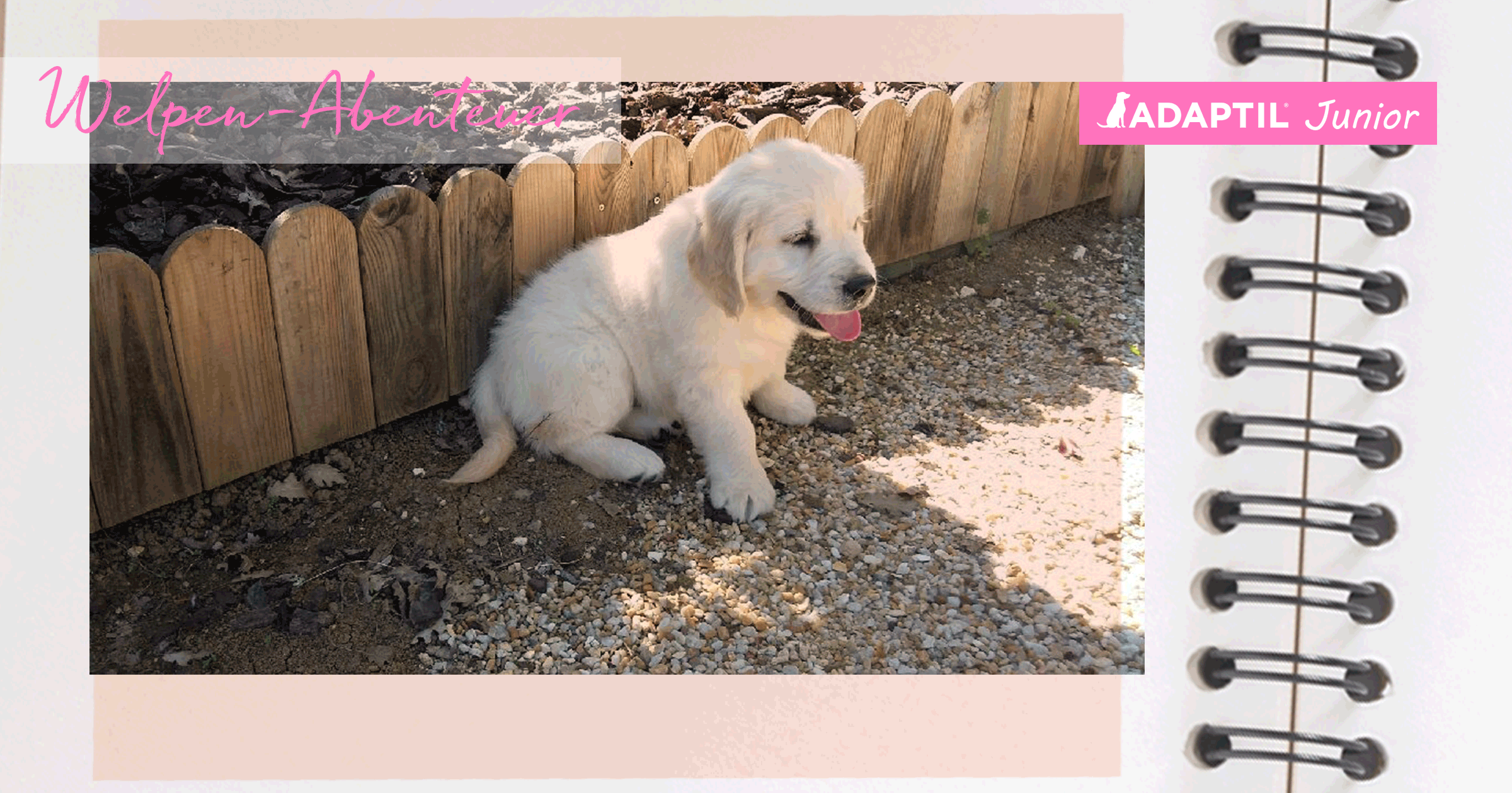 Die Abenteuer von Oops