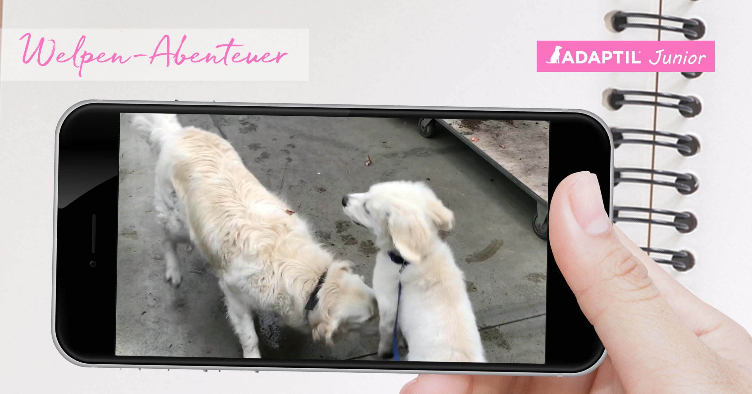 Die Abenteuer von Oops