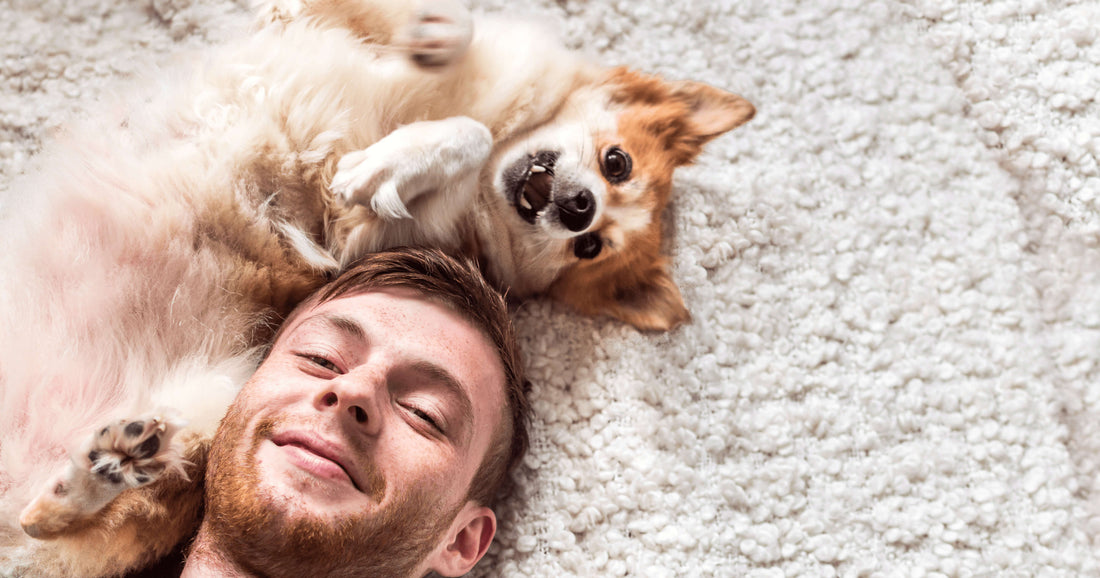 Wie gut passt mein Hund zu mir? So findest du es heraus!