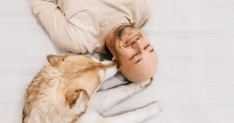 Warum schnüffeln Hunde gerne an Ohren? Aus der Sicht des Vierbeiners!