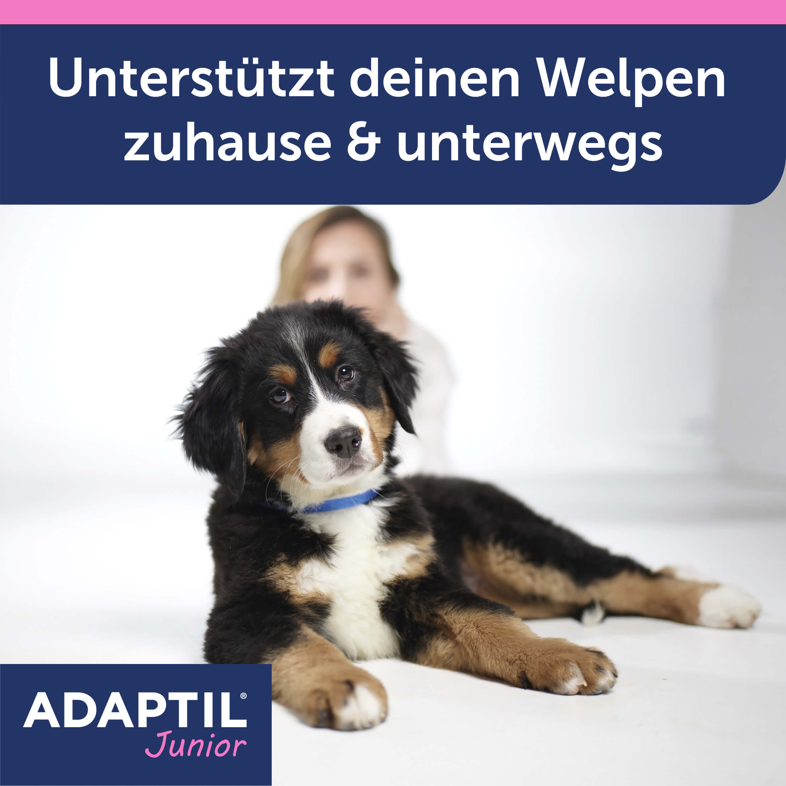 Adaptil Junior Carousel Unterstützung