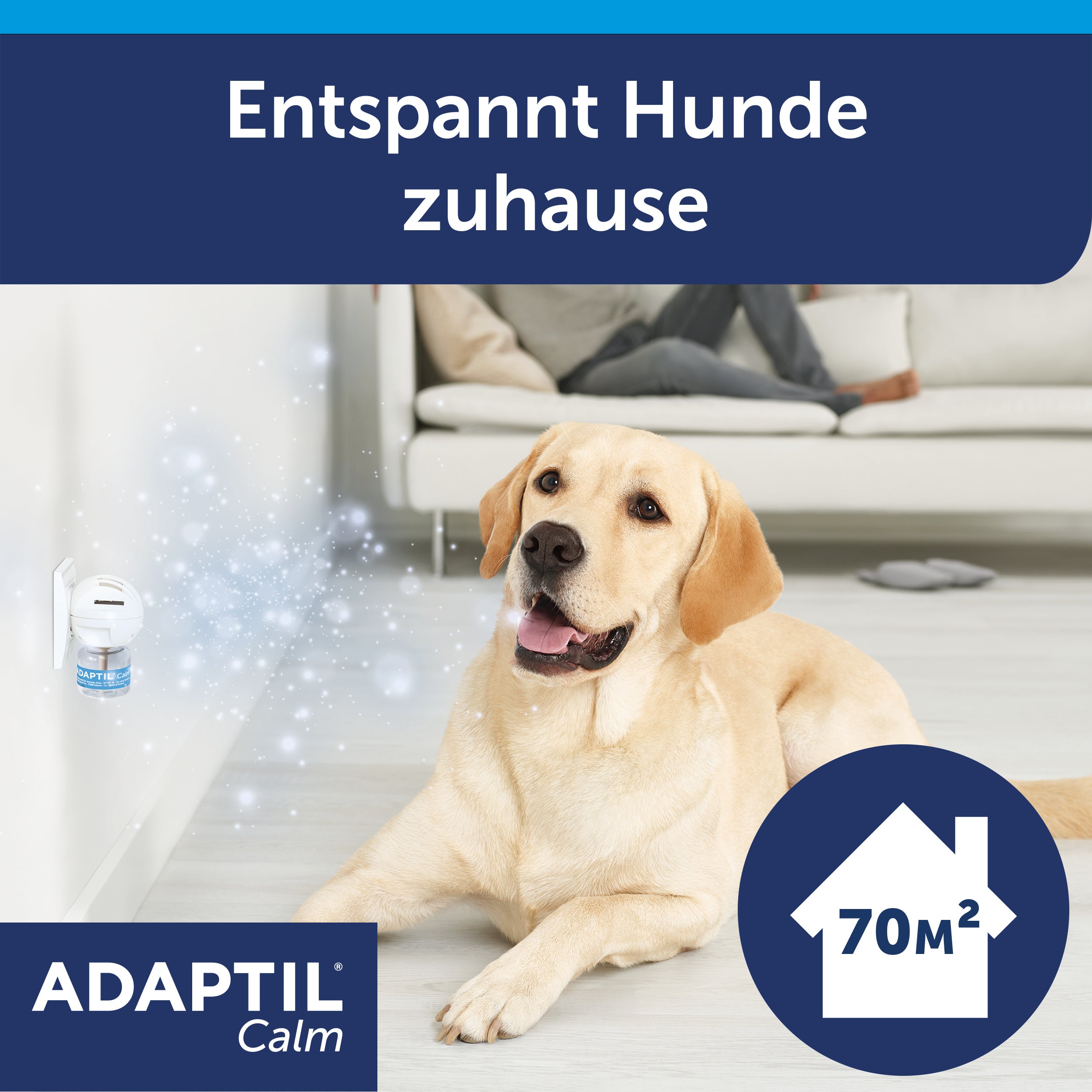 Adaptil enstspannnt Zuhause