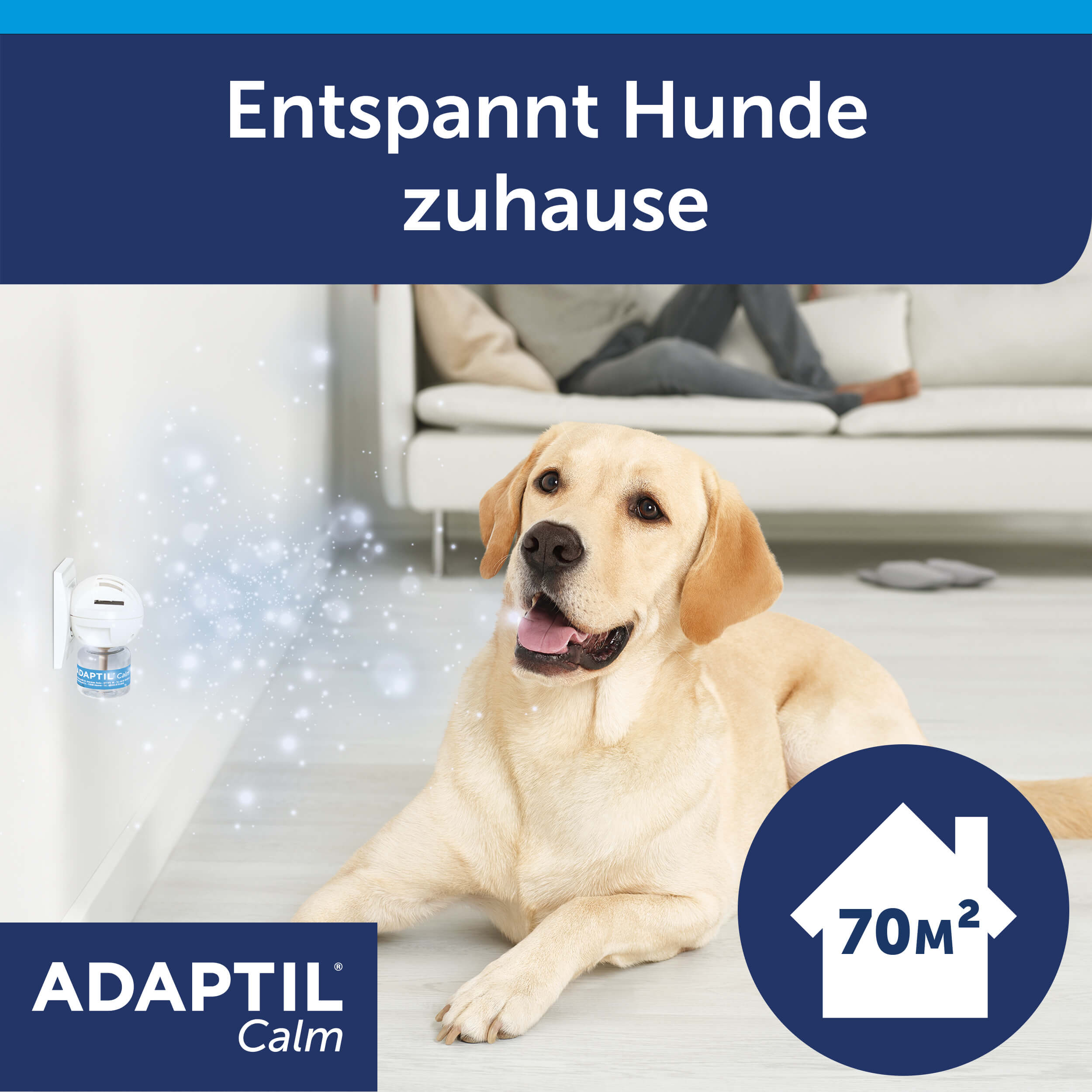 Adaptil Calm Carousel Pheromone Zuhause