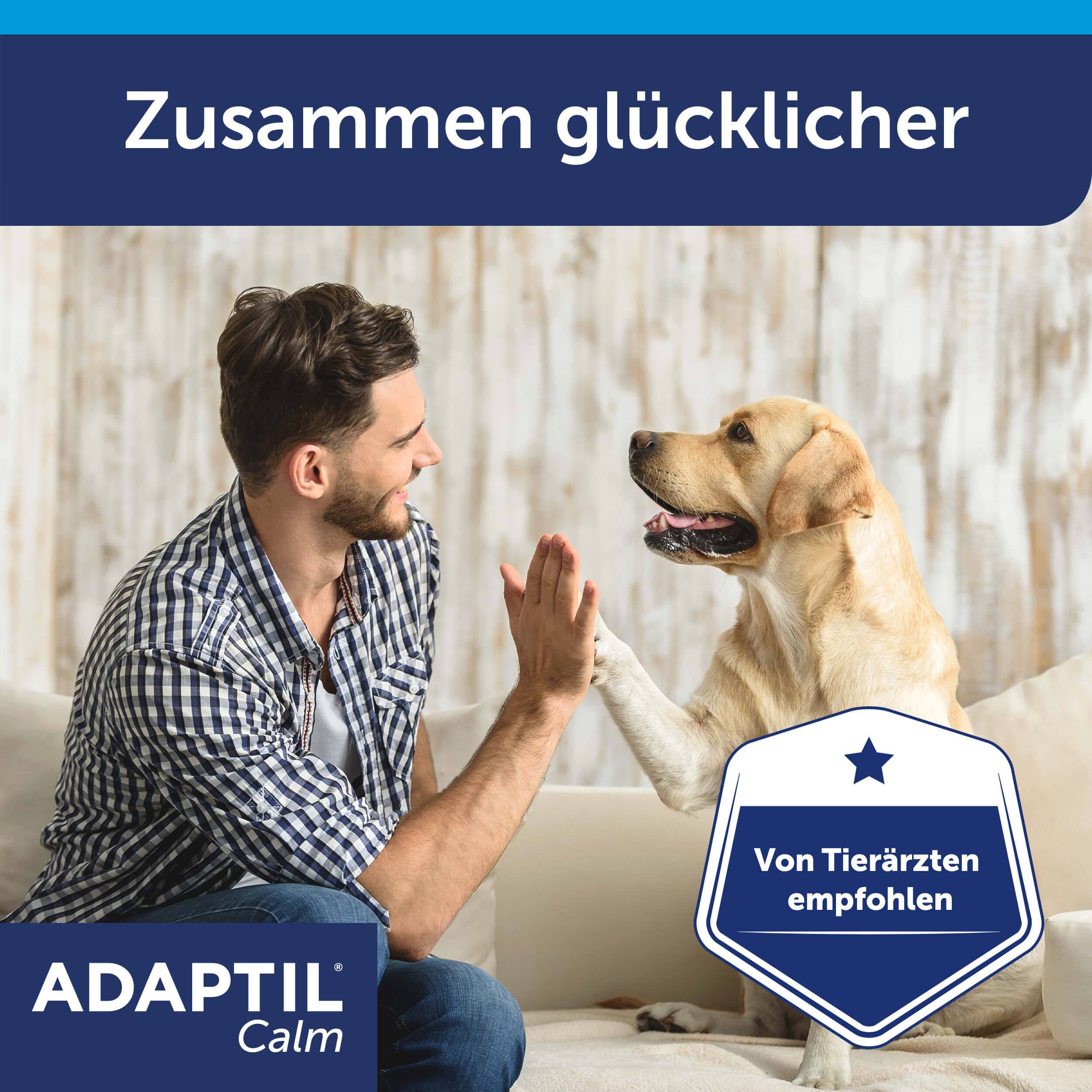 Adaptil Calm Carousel glücklicher