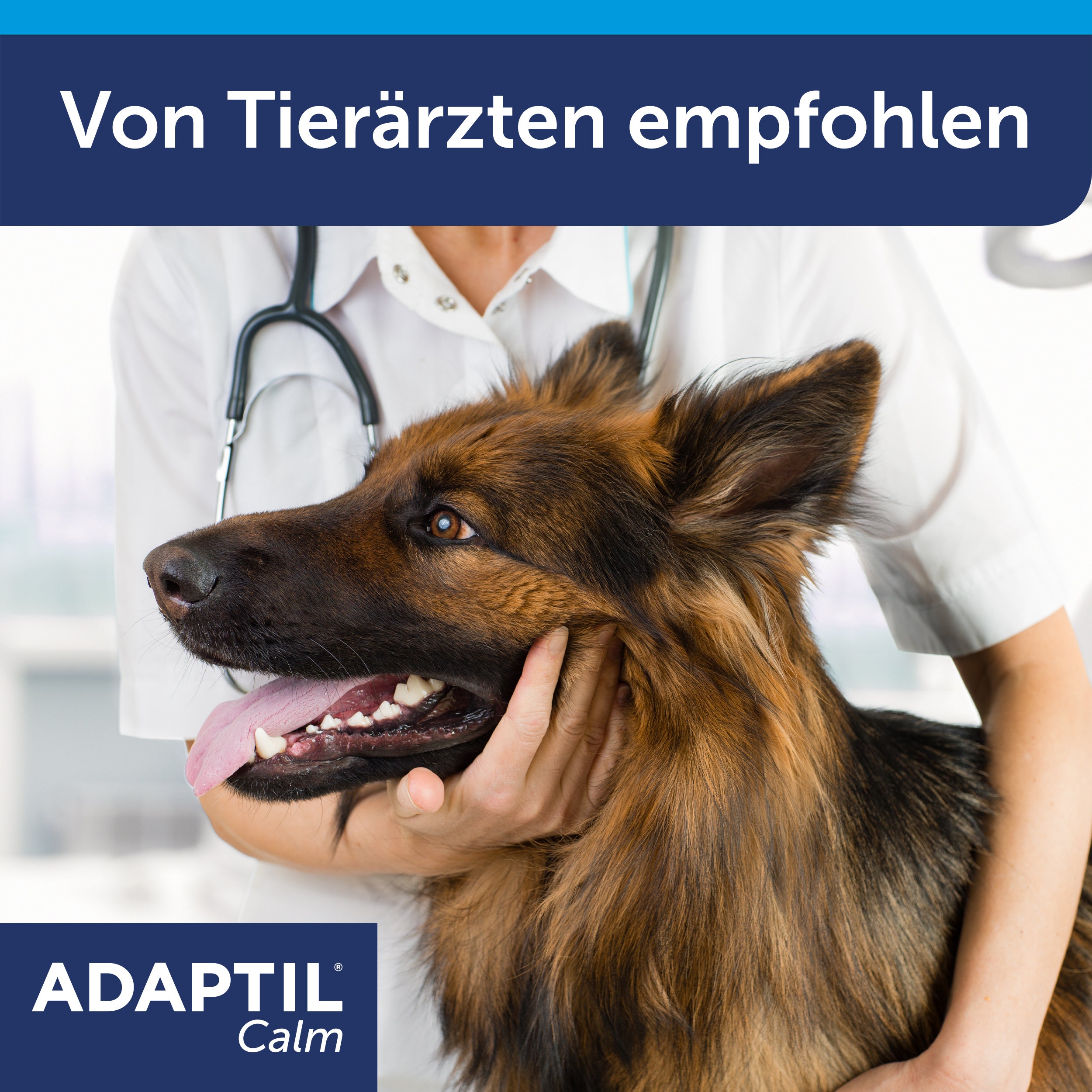 Adaptil Tierarzt