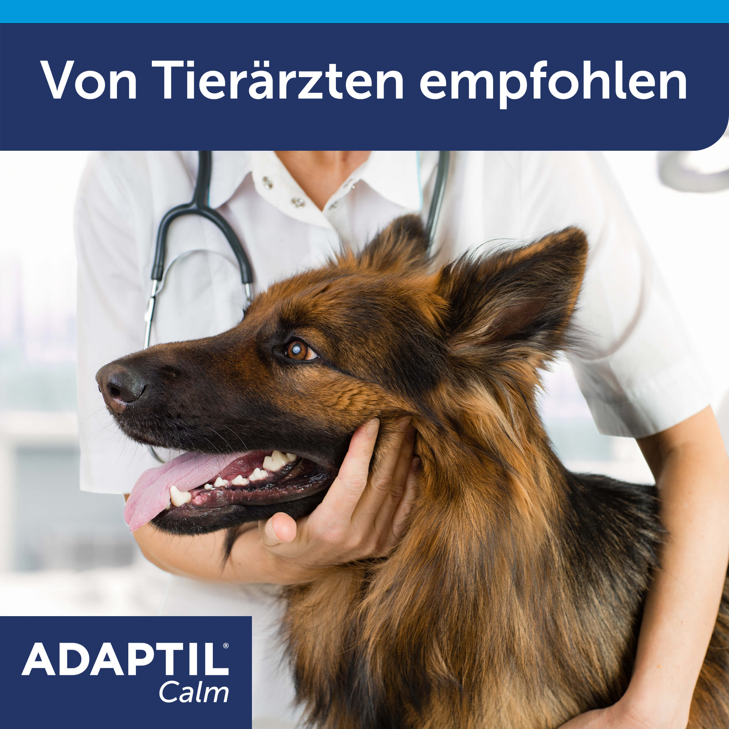 Adaptil Calm Carousel Tierarzt