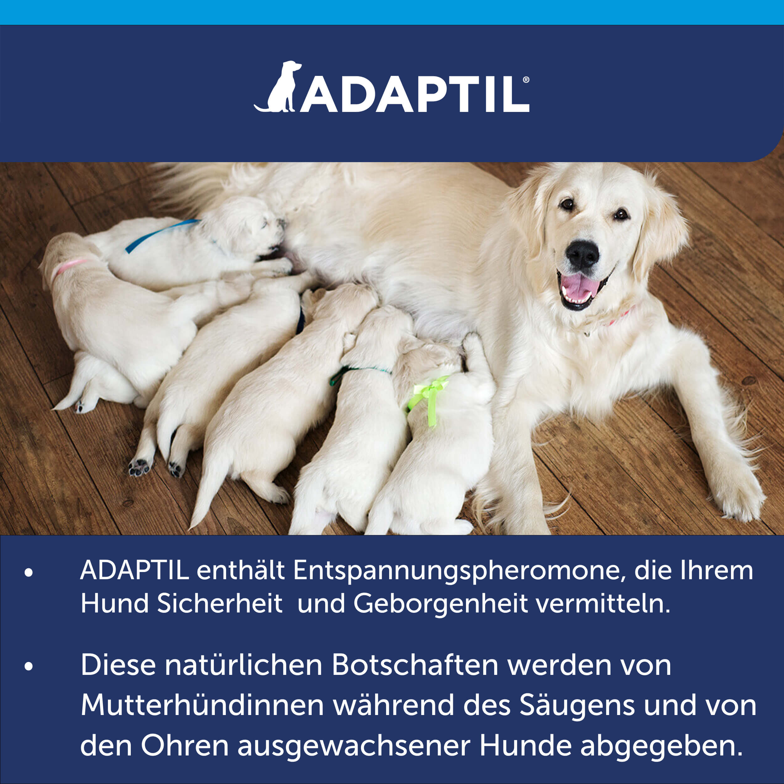 Adaptil Calm Pheromone Erklärung