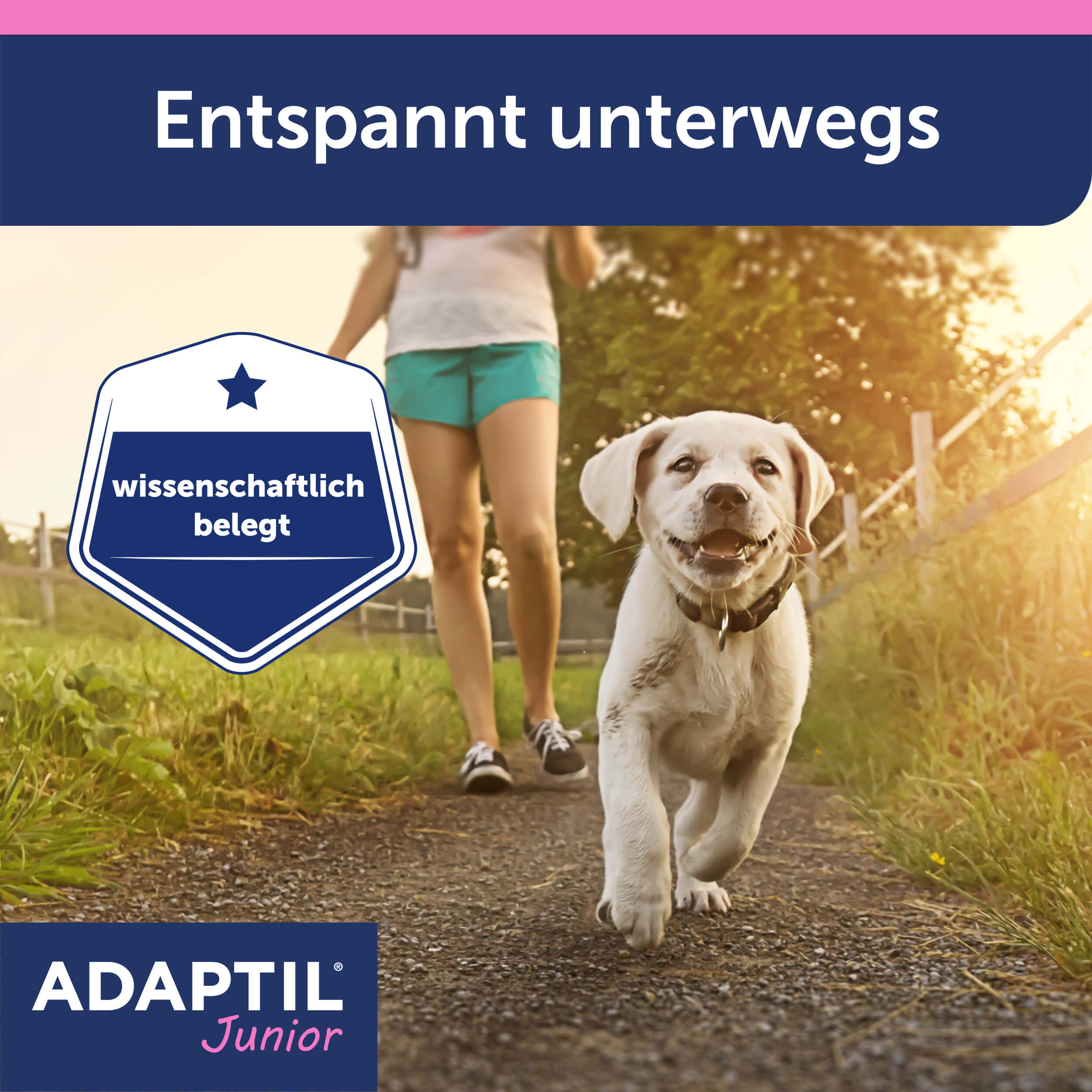 Adaptil Junior Carousel Spaziergang