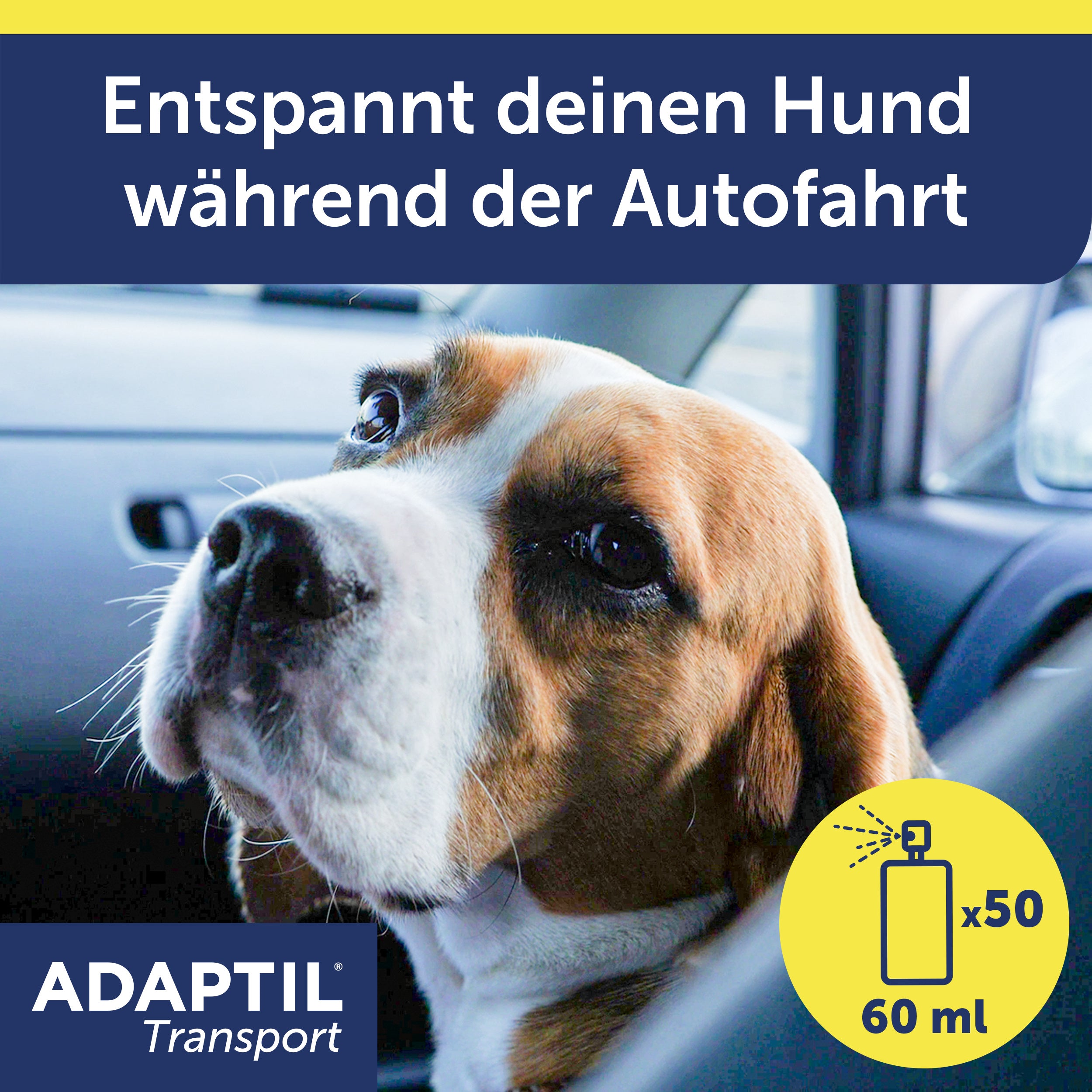 Adaptil Transport Autofahrt