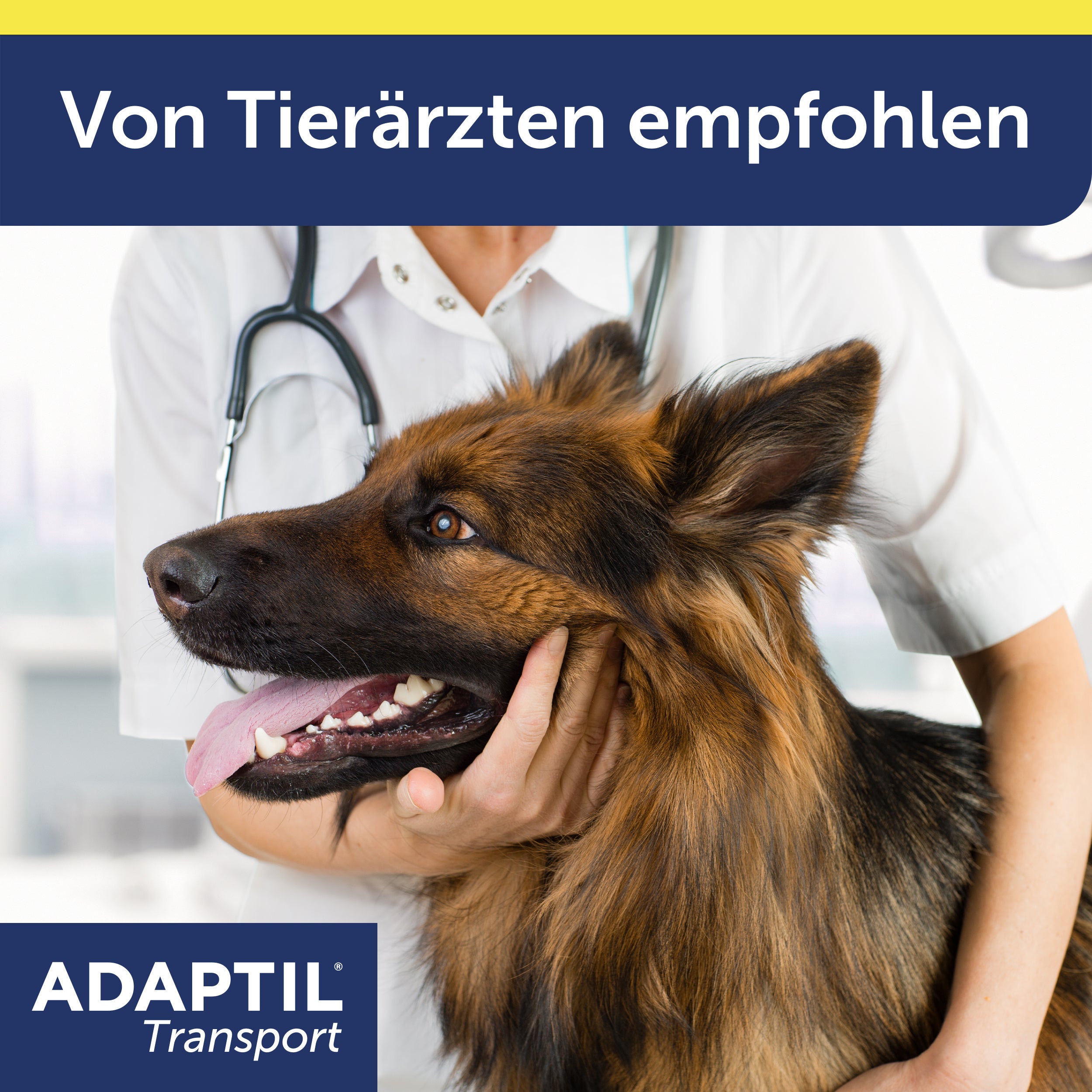 Adaptil Transport Carousel Tierarzt