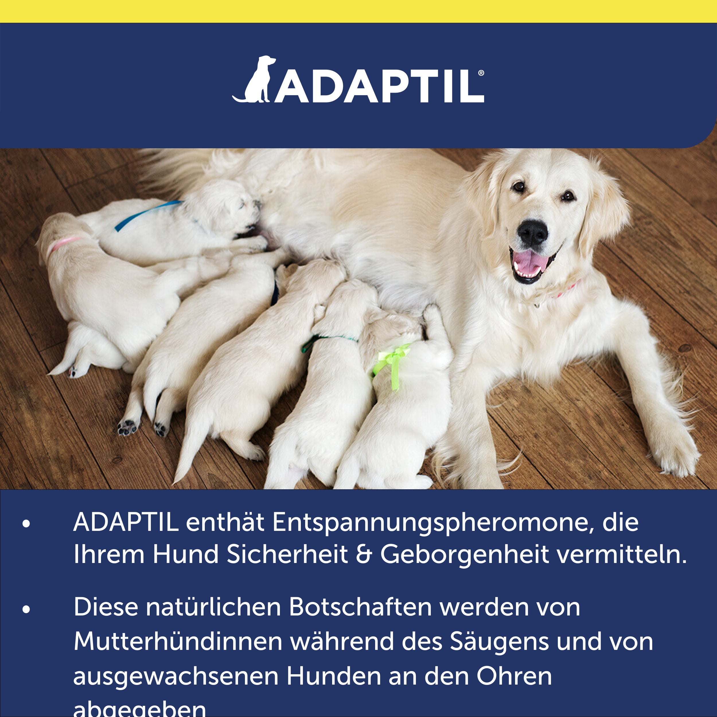 Adaptil Erklärung Pheromone