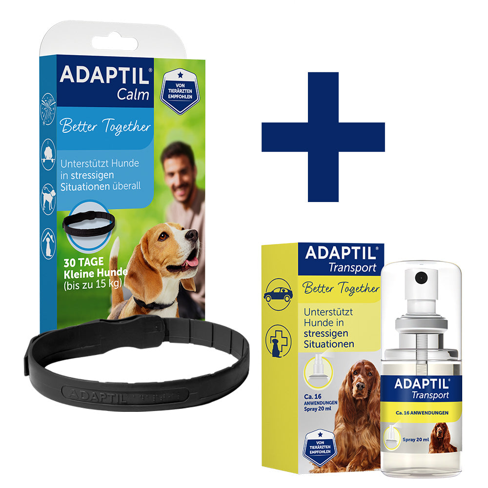 Reise-Paket - Kleine Hunde