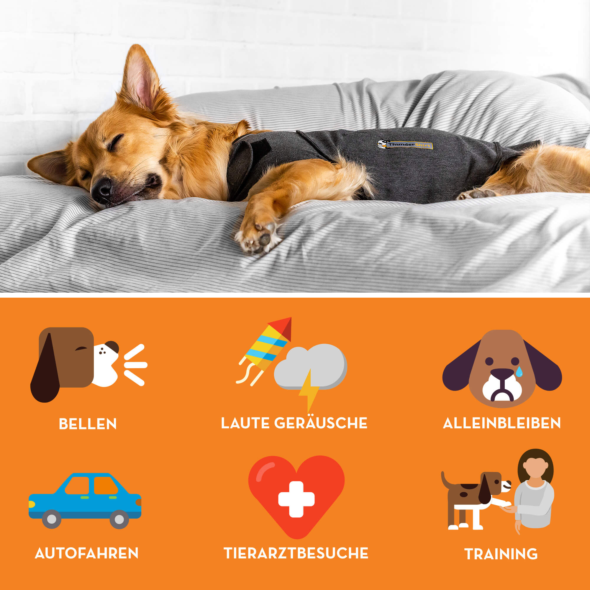 Thundershirt Indikationen Social