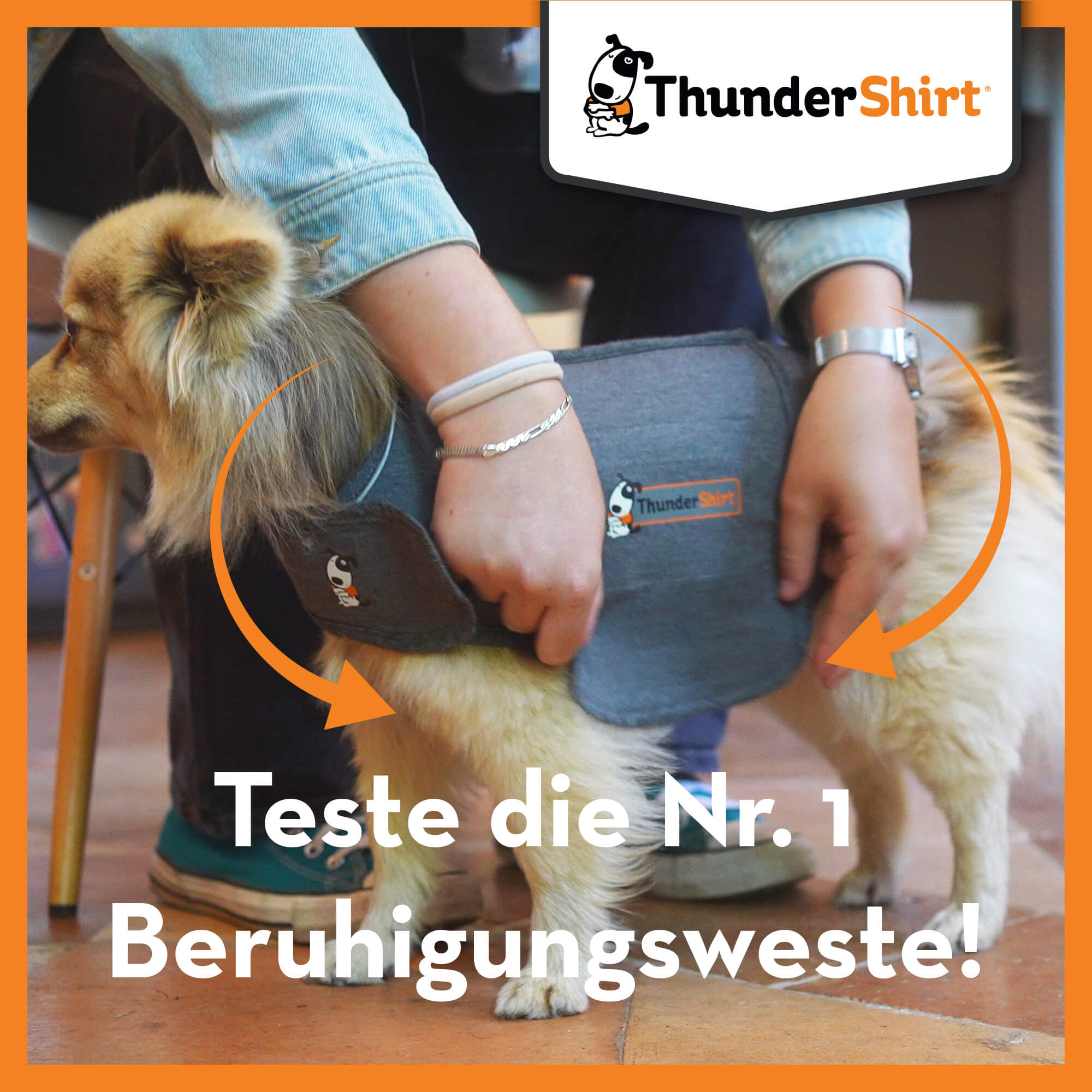 Teste Thundershirt