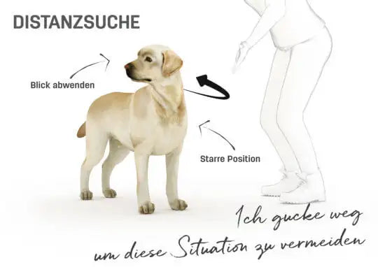 Körpersprache Hund distanzieren