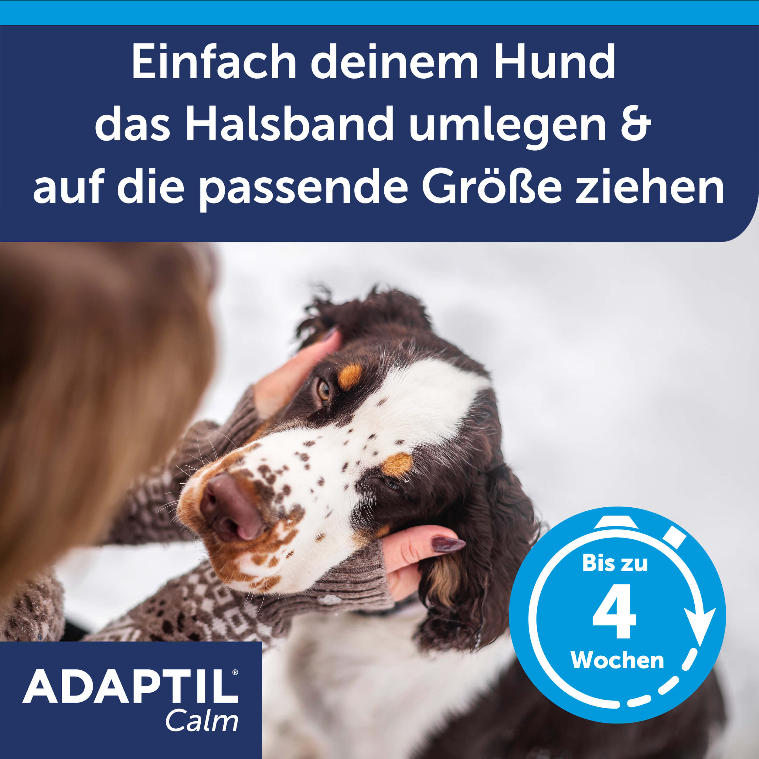 Adaptil Calm Halsband Carousel Anwendung