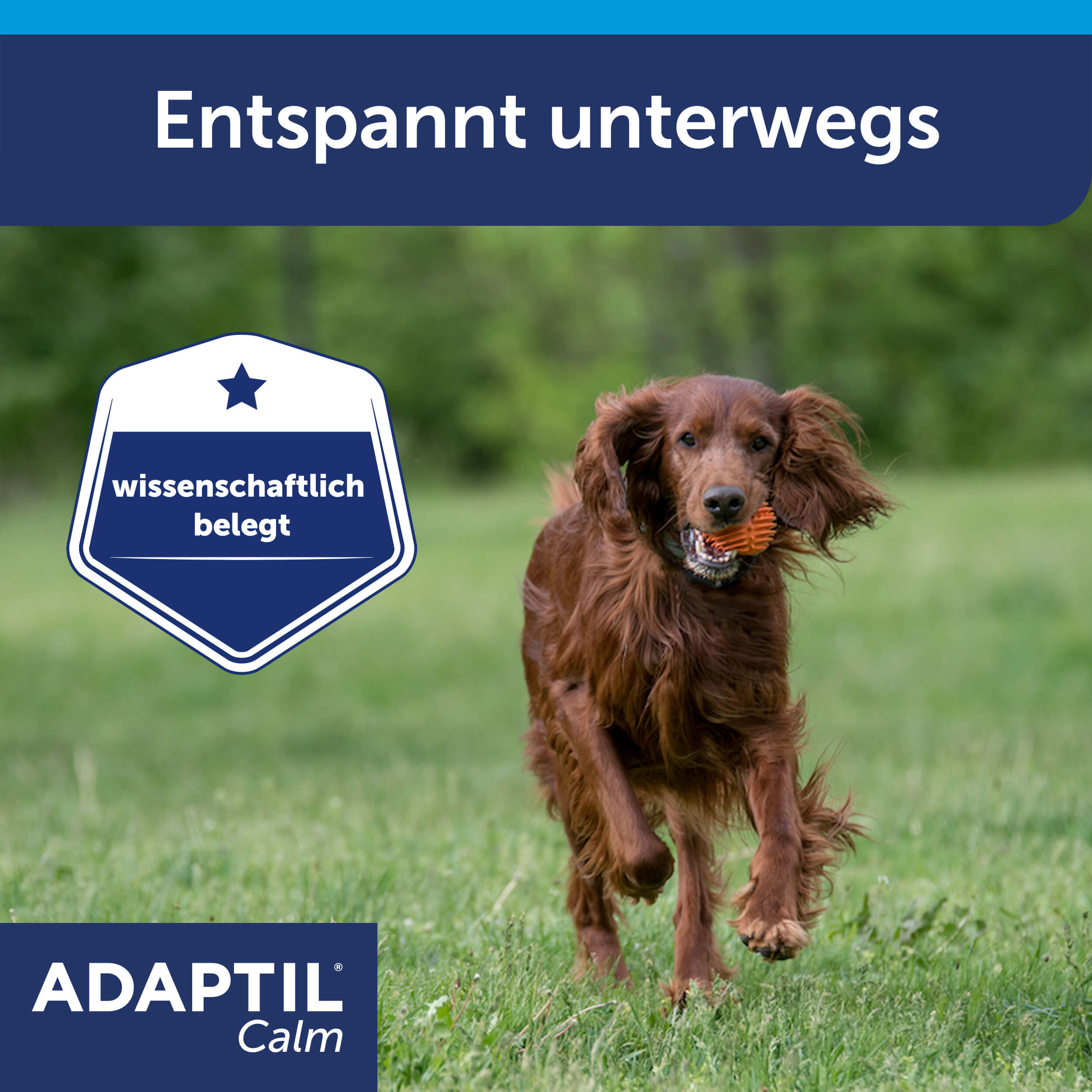 Adaptil Calm Halsband Carousel Entspannung